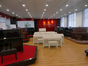 重磅 海伦营口厂区经营进展顺利,东北大地奏响钢琴制造事业强音