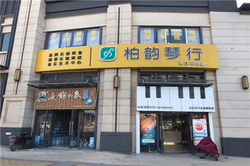 柏韵琴行加盟费多少钱 加盟条件 加盟电话 中教招商网