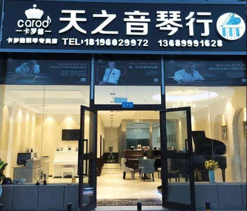 天之音琴行加盟费多少钱 加盟条件 加盟电话 中教招商网