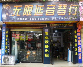 广汉无限延音琴行