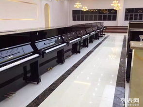 钢琴出租服务 灵活选择，高品质享受